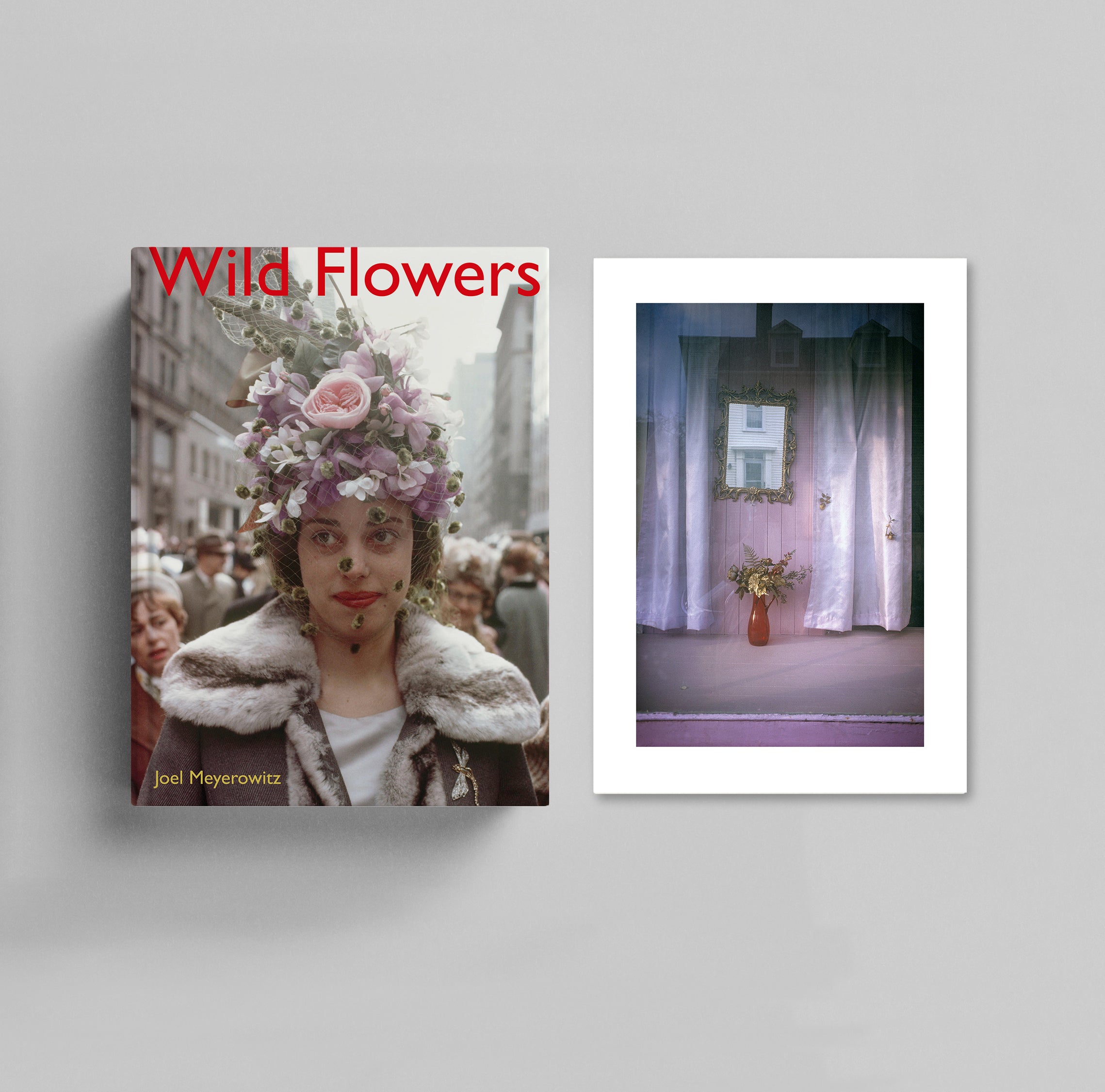 Wild Flowers | Collector's Edition – Damiani Books